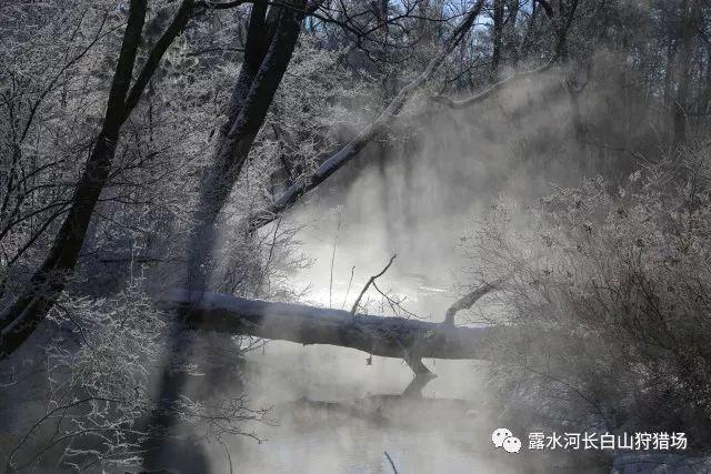 叠方块消消看