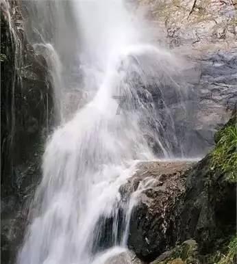 见证者